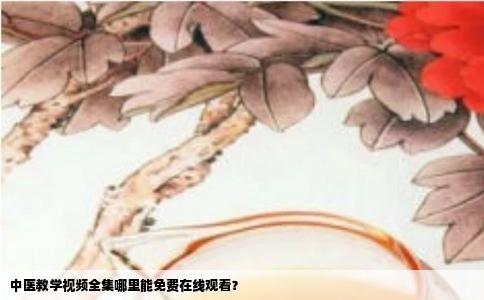 中医教学视频全集哪里能免费在线观看？