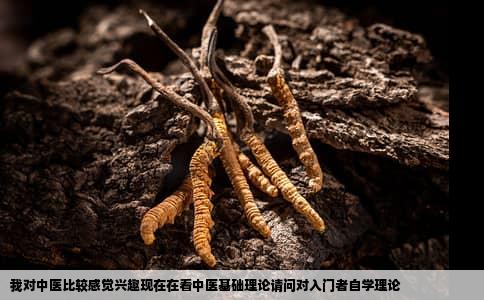 我对中医比较感觉兴趣现在在看中医基础理论请问对入门者自学理论