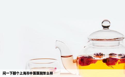 问一下那个上海市中医医院怎么样