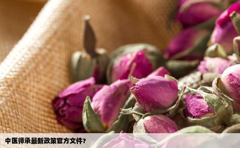 中医师承最新政策官方文件？