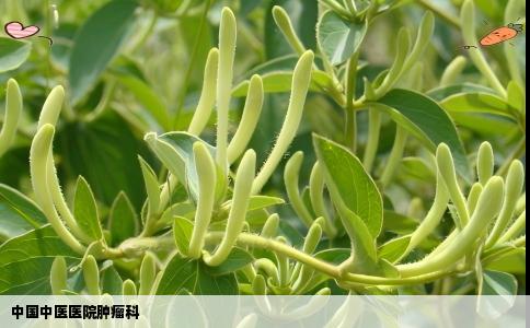 中国中医医院肿瘤科