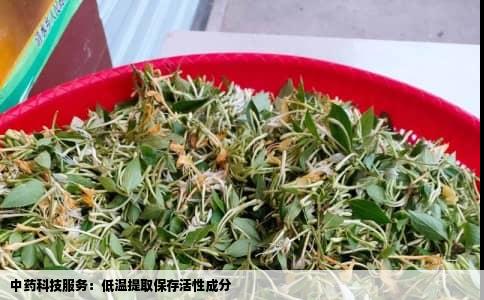 中药科技服务：低温提取保存活性成分