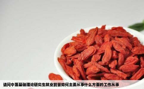 请问中医基础理论研究生就业前景如何主要从事什么方面的工作从事