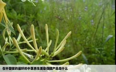 在中国做的最好的中医养生美容保健产品是什么