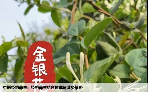 中医经络养生：经络养生结合推拿与艾灸策略