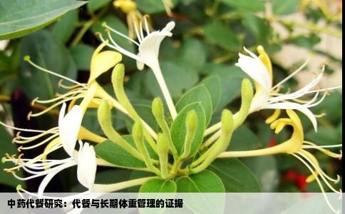 中药代餐研究：代餐与长期体重管理的证据