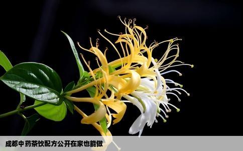 成都中药茶饮配方公开在家也能做