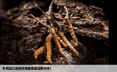 中药出口应如何准备质量证明文件？
