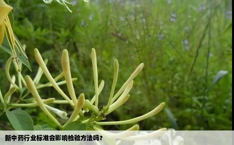 新中药行业标准会影响检验方法吗？