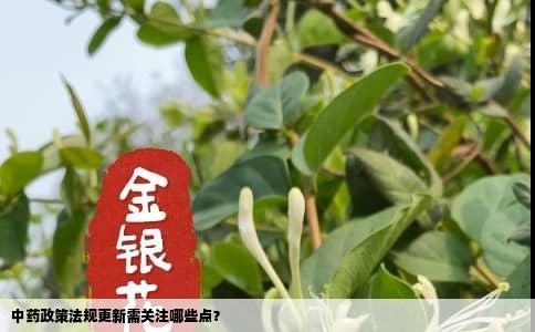 中药政策法规更新需关注哪些点？