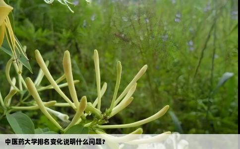 中医药大学排名变化说明什么问题？