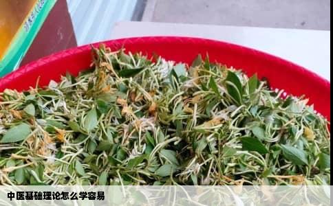 中医基础理论怎么学容易