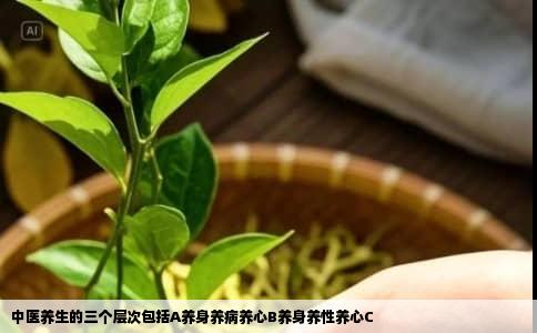 中医养生的三个层次包括A养身养病养心B养身养性养心C