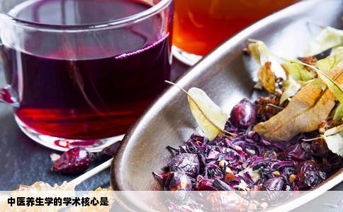 中医养生学的学术核心是