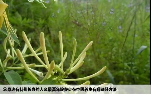 您身边有特别长寿的人么最高年龄多少在中医养生有哪些好方法