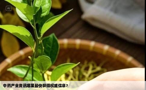 中药产业资讯哪里最快获得权威信息？