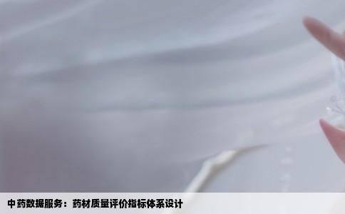 中药数据服务：药材质量评价指标体系设计