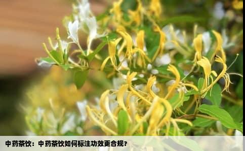 中药茶饮：中药茶饮如何标注功效更合规？