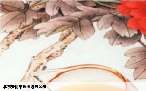 北京安德中医医院怎么样