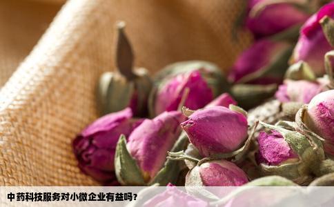中药科技服务对小微企业有益吗？