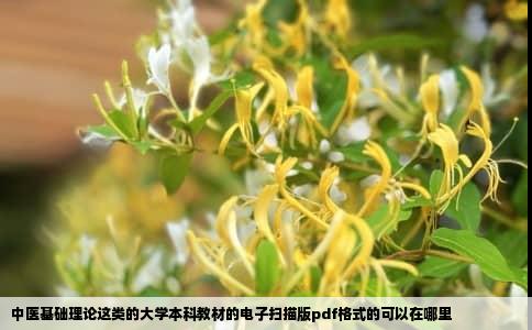 中医基础理论这类的大学本科教材的电子扫描版pdf格式的可以在哪里