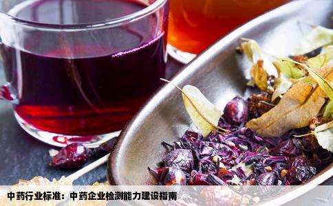 中药行业标准：中药企业检测能力建设指南