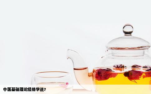 中医基础理论经络学说？