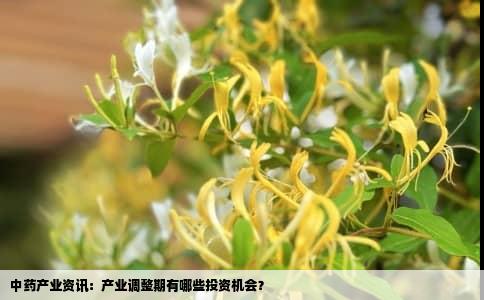 中药产业资讯：产业调整期有哪些投资机会？