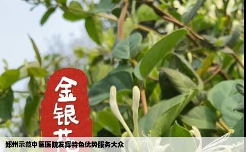 郑州示范中医医院发挥特色优势服务大众