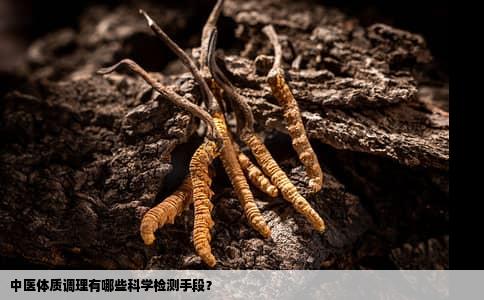 中医体质调理有哪些科学检测手段？