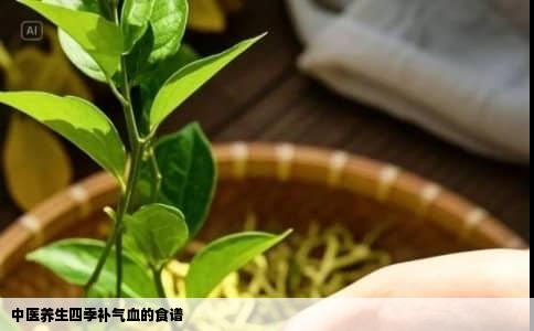 中医养生四季补气血的食谱