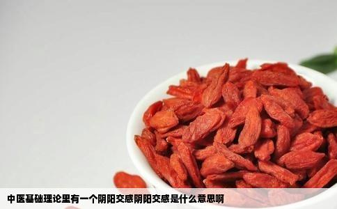 中医基础理论里有一个阴阳交感阴阳交感是什么意思啊