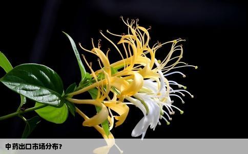 中药出口市场分布？