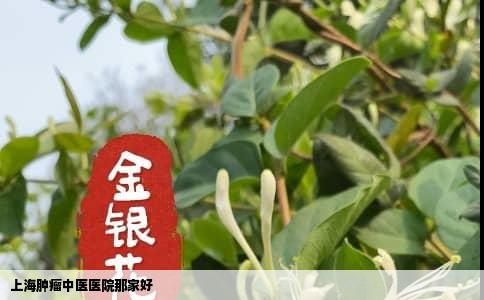 上海肿瘤中医医院那家好