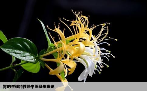 胃的生理特性是中医基础理论