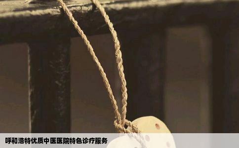 呼和浩特优质中医医院特色诊疗服务