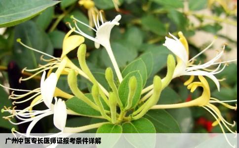 广州中医专长医师证报考条件详解