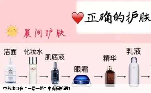 中药出口在“一带一路”中有何机遇？