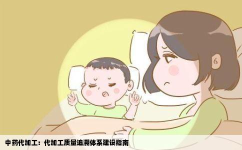 中药代加工：代加工质量追溯体系建设指南
