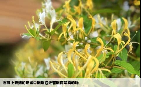 百度上查到的这些中医医院还有医馆是真的吗