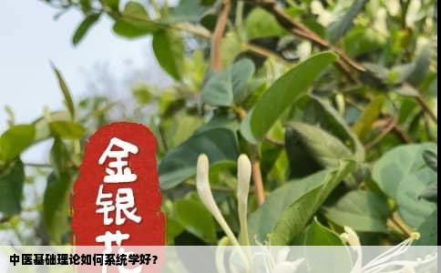 中医基础理论如何系统学好？