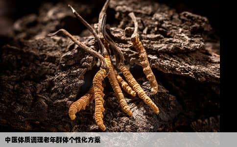中医体质调理老年群体个性化方案