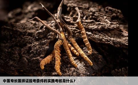 中医专长医师证报考条件的实践考核是什么？