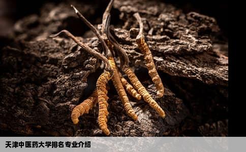 天津中医药大学排名专业介绍