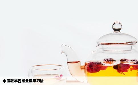 中医教学视频全集学习法