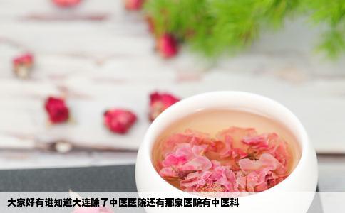 大家好有谁知道大连除了中医医院还有那家医院有中医科