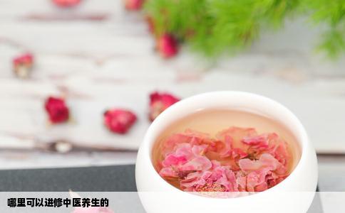 哪里可以进修中医养生的