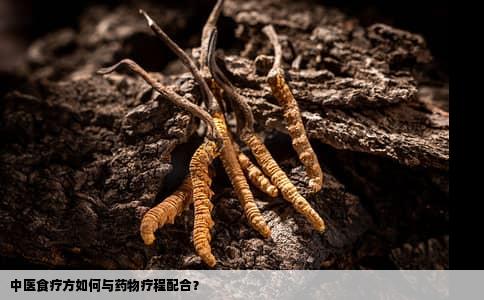 中医食疗方如何与药物疗程配合？