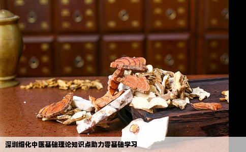 深圳细化中医基础理论知识点助力零基础学习