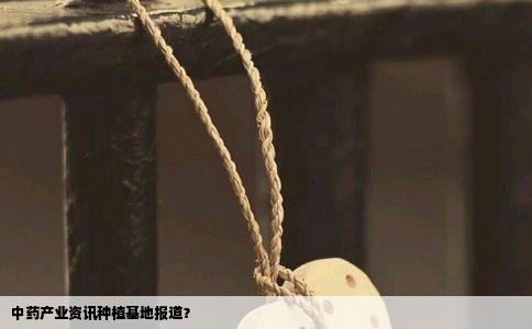 中药产业资讯种植基地报道？